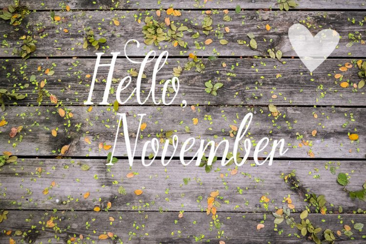 November 2015 Newsletter: November News! Bring a friend+ Herbal tips+ Our 3rd B-day